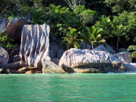 Seychelles Honeymoon-08.JPG