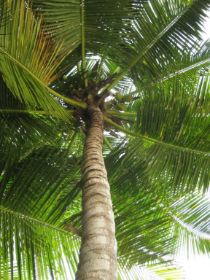 Seychelles Honeymoon-14.JPG