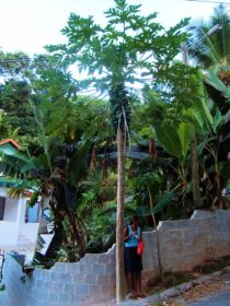 Seychelles Honeymoon-28.JPG