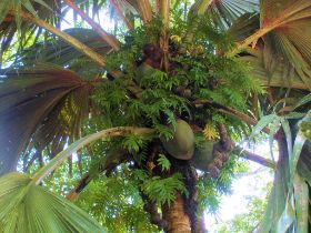 Seychelles Honeymoon-32.JPG