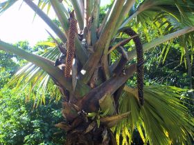 Seychelles Honeymoon-33.JPG