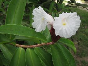 Seychelles Honeymoon-36.JPG