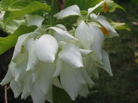 Seychelles Honeymoon-38.JPG