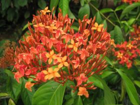 Seychelles Honeymoon-39.JPG