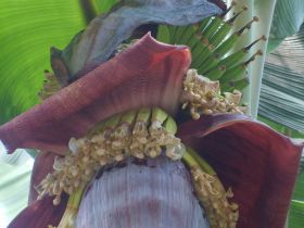 Seychelles Honeymoon-42.JPG