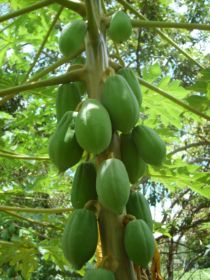 Seychelles Honeymoon-43.JPG