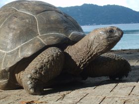 Seychelles Honeymoon-44.JPG