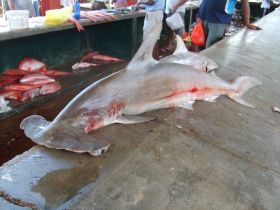 Seychelles Honeymoon-56.JPG