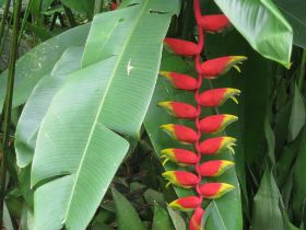 Seychelles Honeymoon-62.JPG